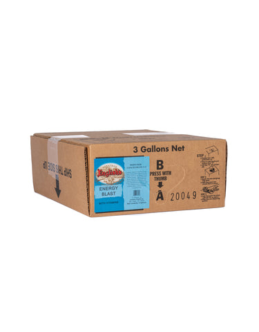Jonathan English (TM) Energy Blast 3 GAL